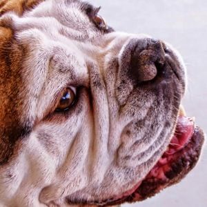 Meet your Posher, Wendy